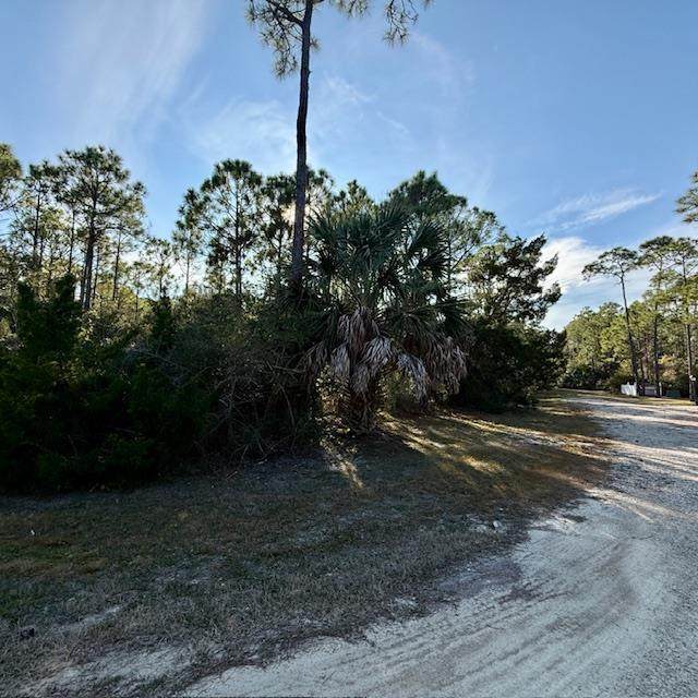 1259 E Gulf Beach Dr - Photo 1