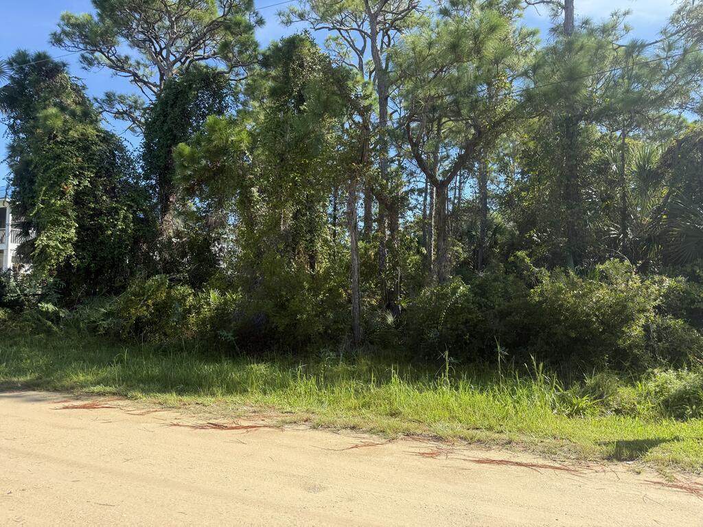 319 Bradford St - Photo 1