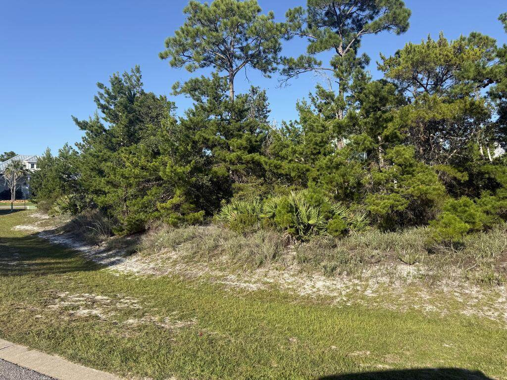 104 Conch St - Photo 1