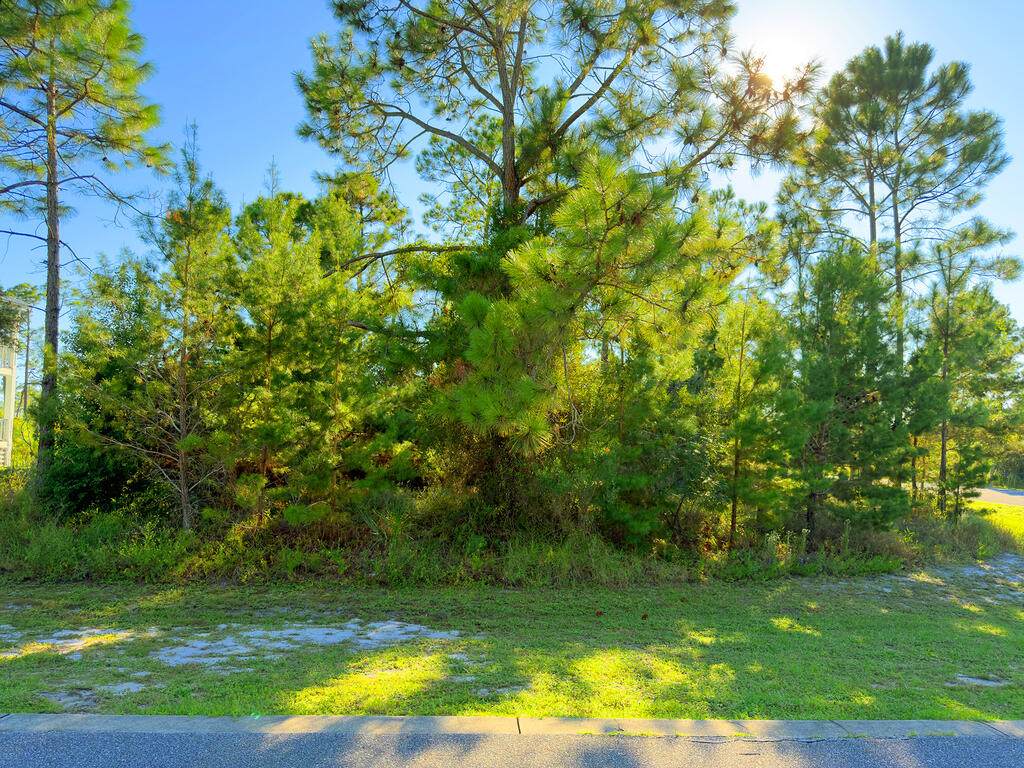 213 Stingray Ln - Photo 1