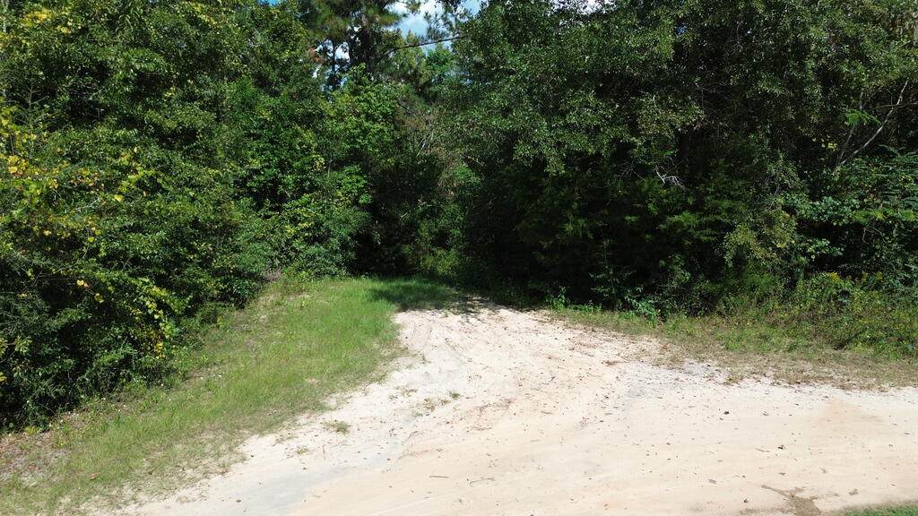 388 N Bass Dr - Photo 1