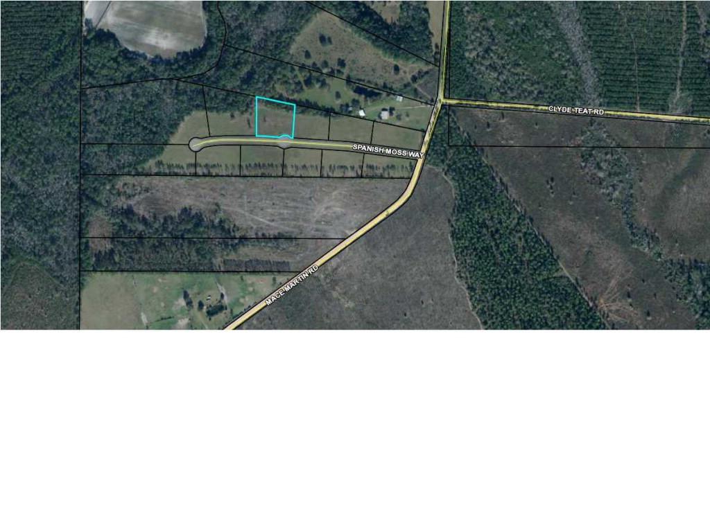 4 Spanish Moss Way - Photo 1