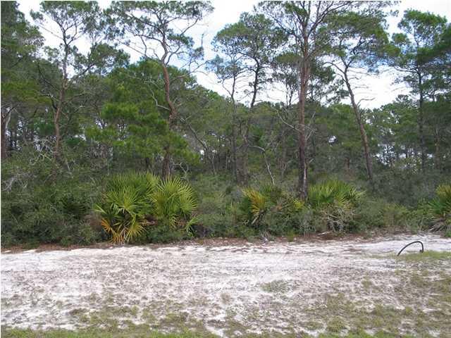 125 Lakes On The Bluff Dr - Photo 1