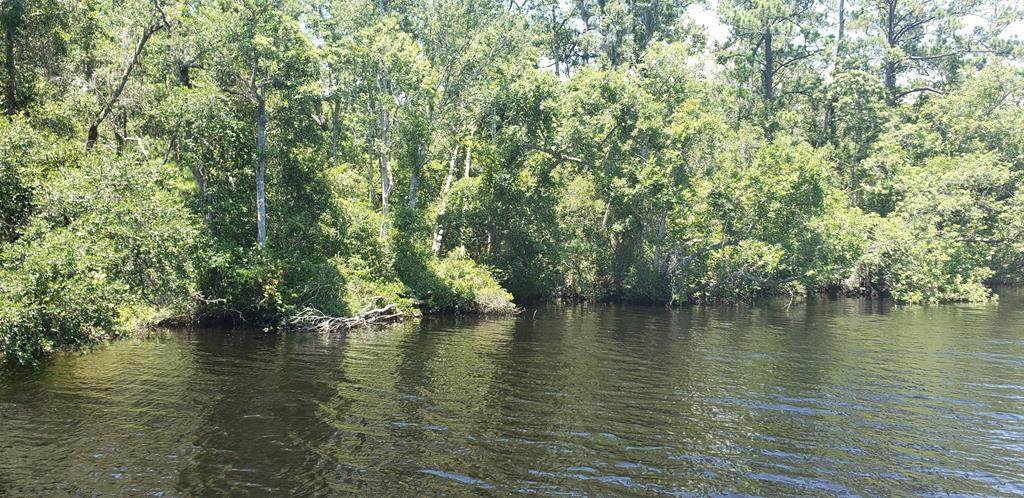 2 Hickory Hammock Rd - Photo 1