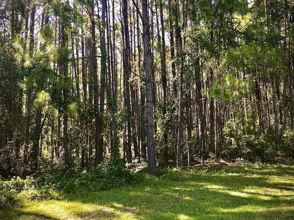 241 Boncycle Land Dr - Photo 1 241 Boncycle Land Dr - Photo 1