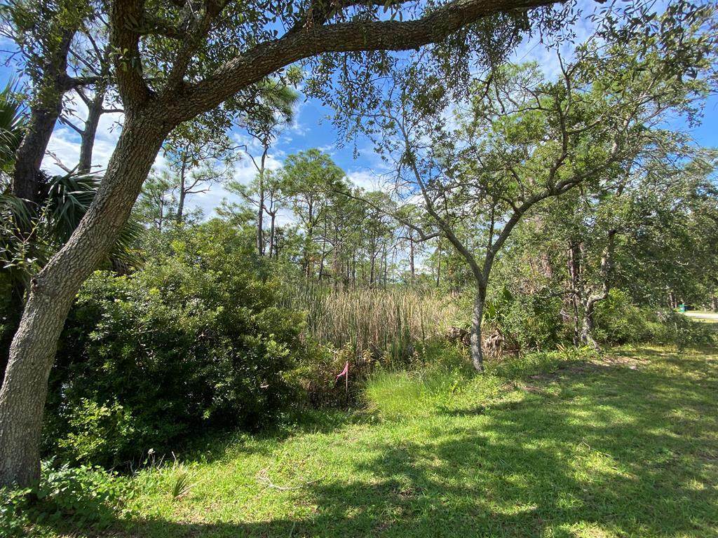 1287 Avocet Ln - Photo 1