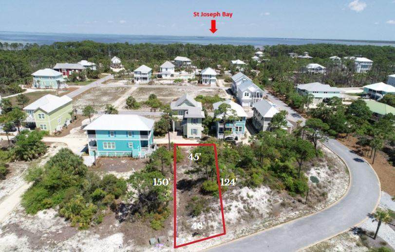 443 Jubilation Dr - Photo 1