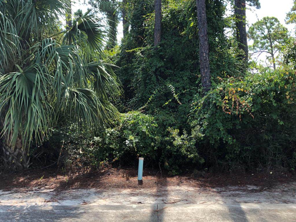 122 Laughing Gull Ln - Photo 1