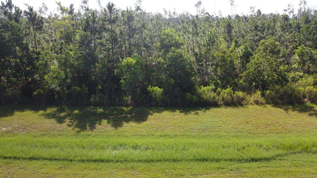 Lot 8 Wide Water Cir - Photo 1