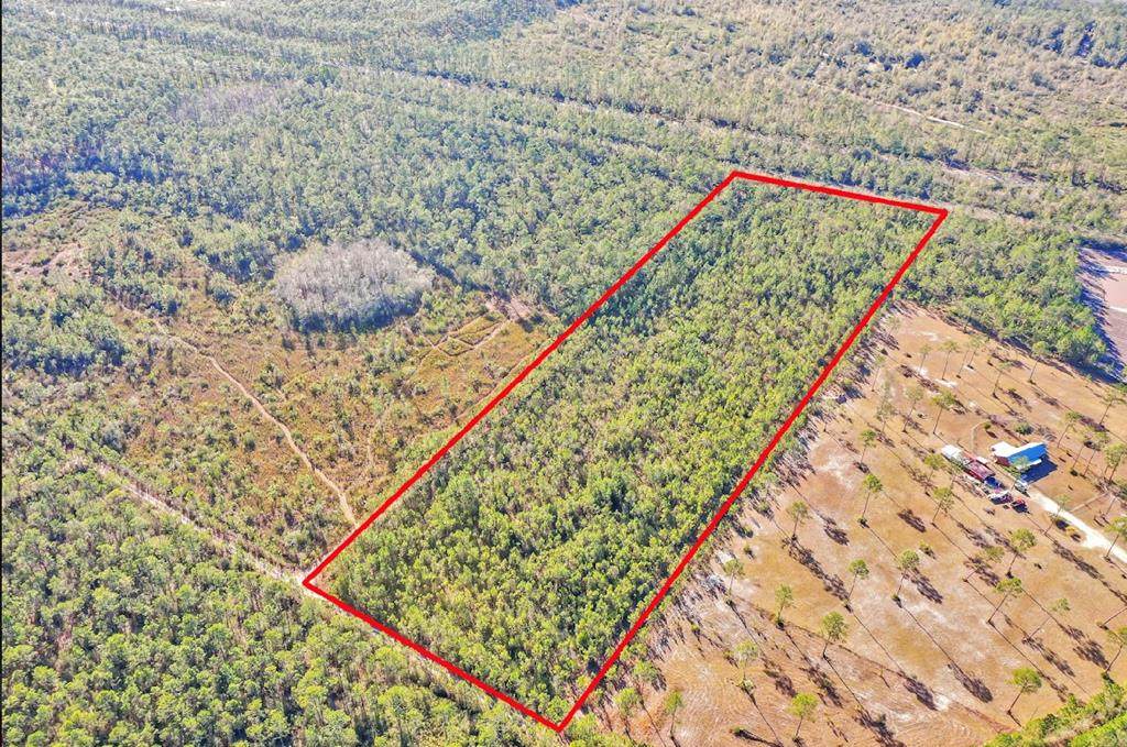 00 Longleaf Rd - Photo 1
