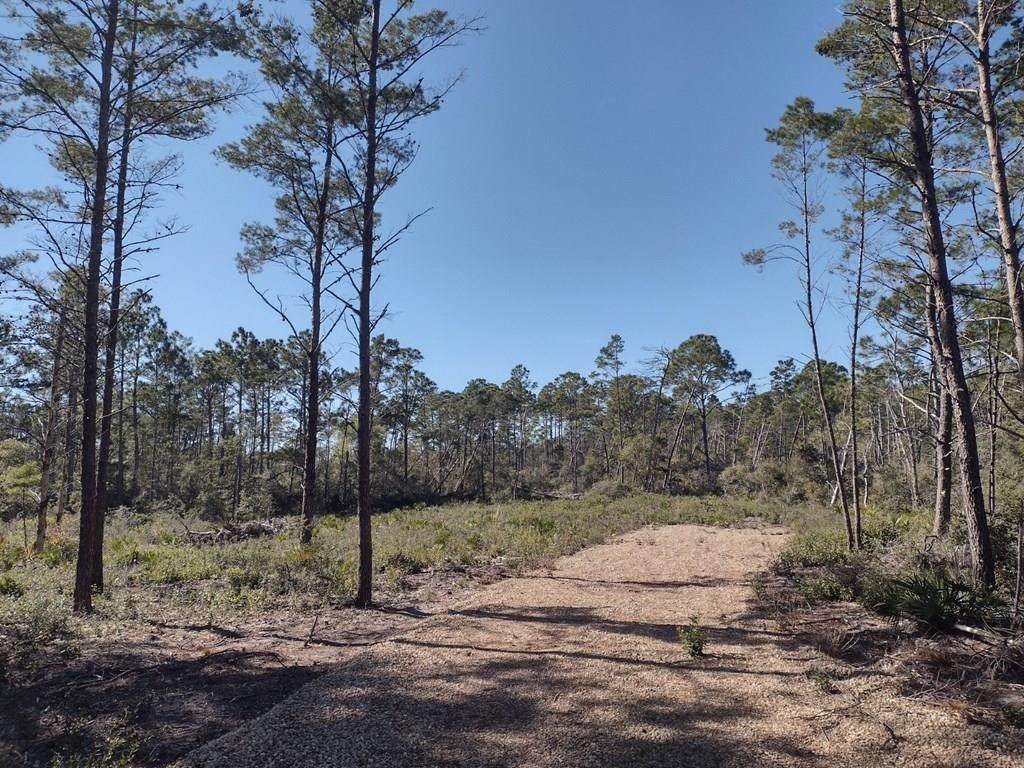 266 River Rd - Photo 1