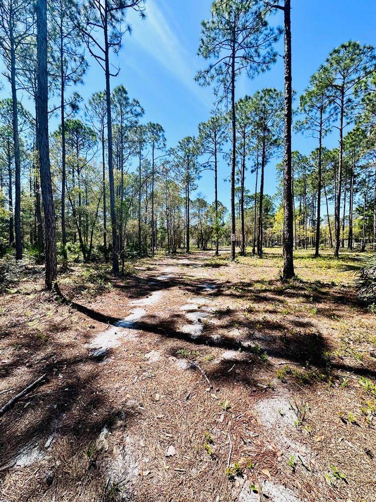 321 Baywood Dr - Photo 1