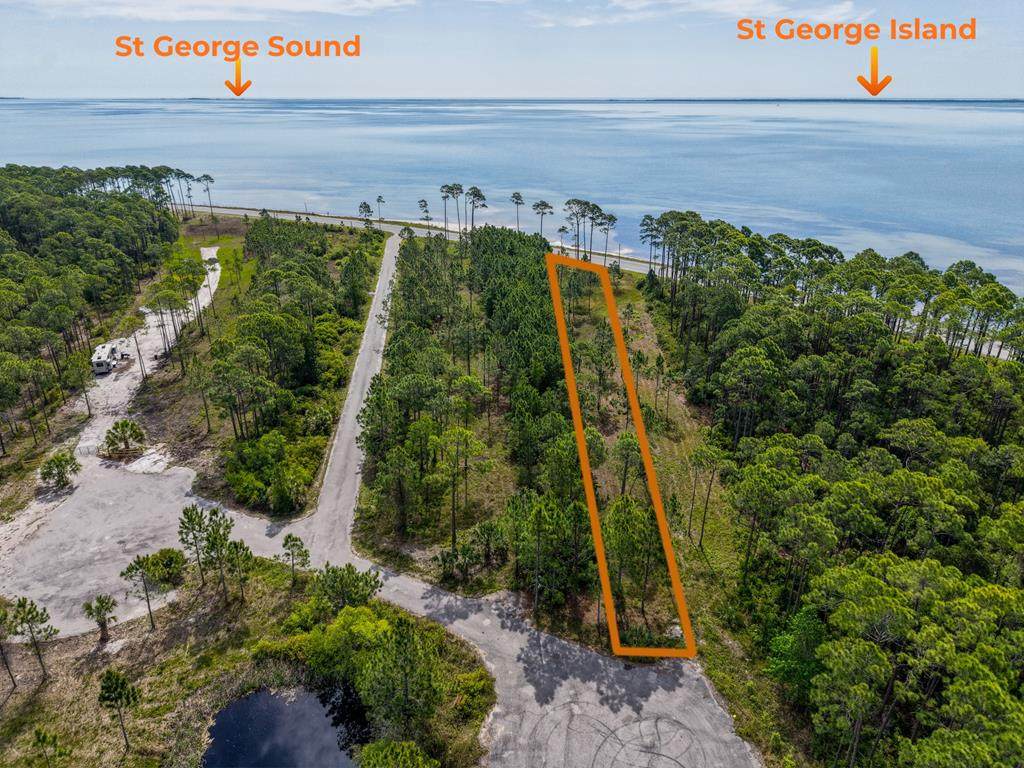 1485 Hwy 98 - Photo 1