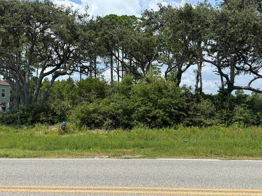 2163 Hwy 98 W - Photo 1