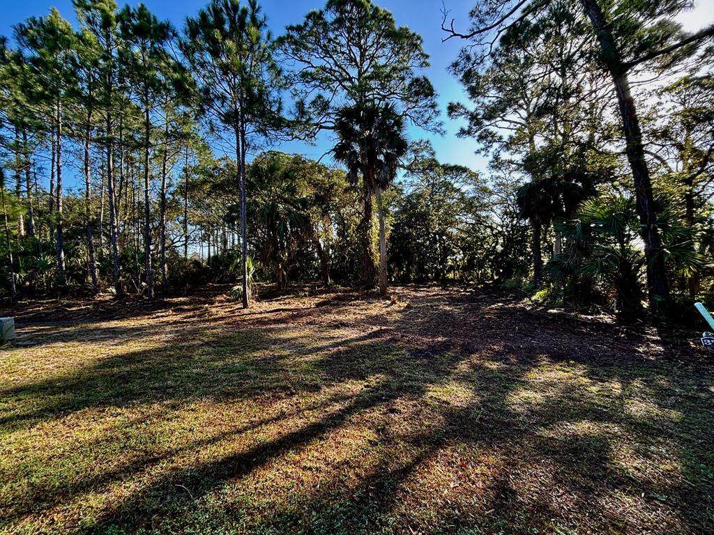 Lot 37 Waters Edge Dr - Photo 1