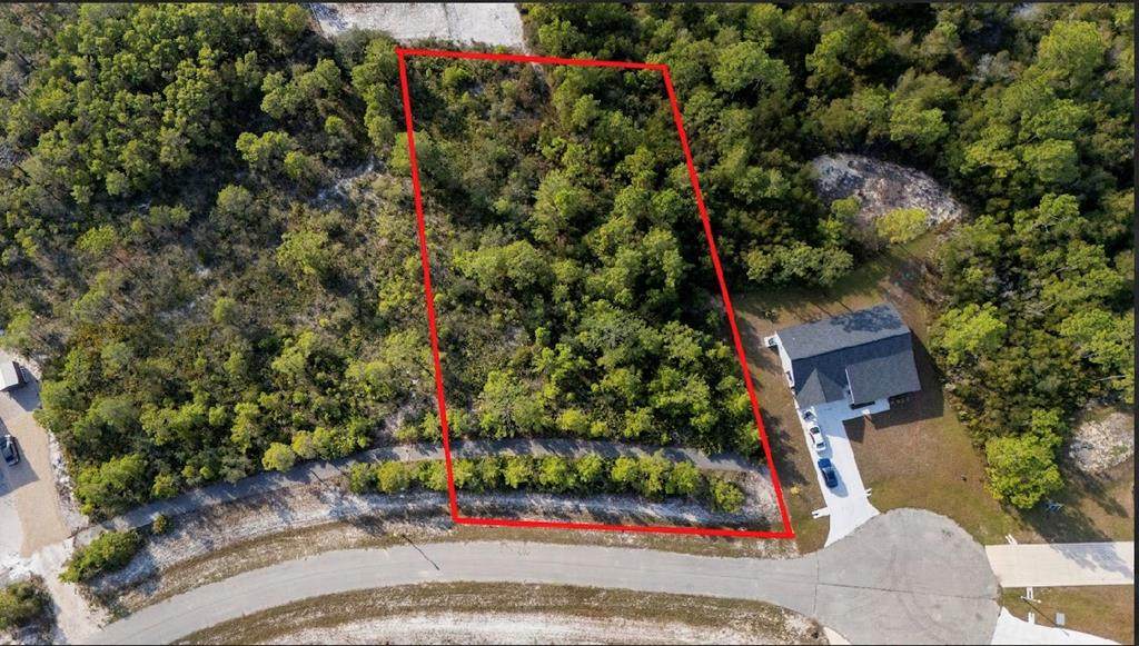 341 Gladiola Way - Photo 1