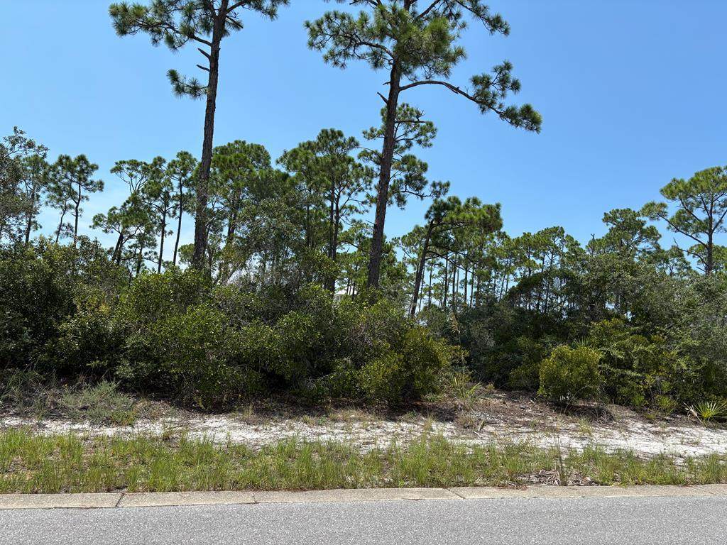 207 Signal Ln - Photo 1