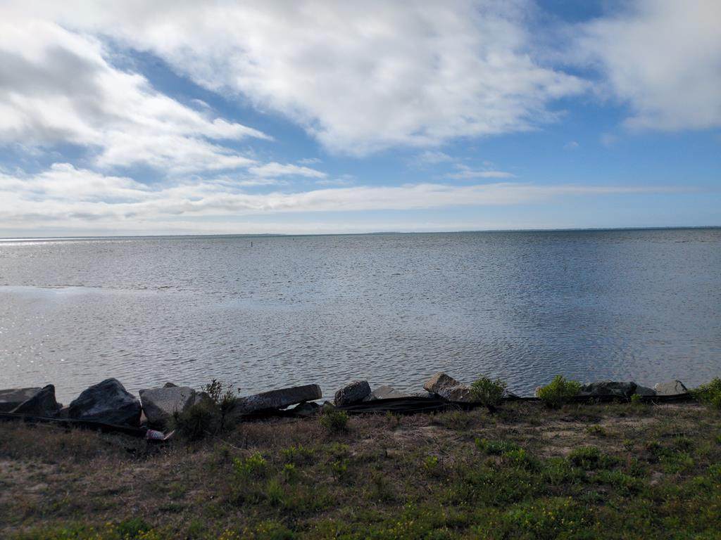 296 Gramercy Plantation Blvd - Photo 1