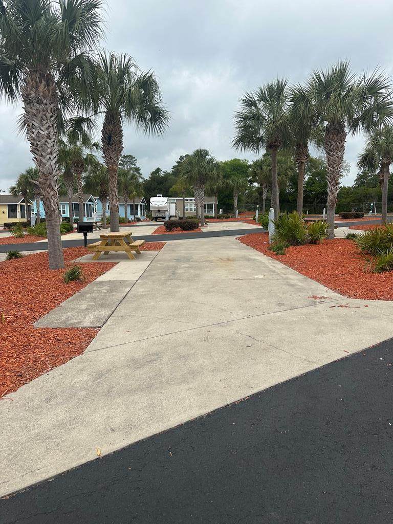 1843 Hwy 98 W - Photo 1