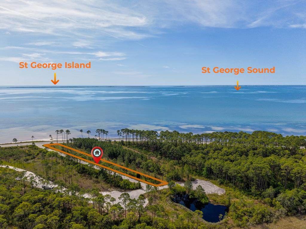 1495 Hwy 98 - Photo 1