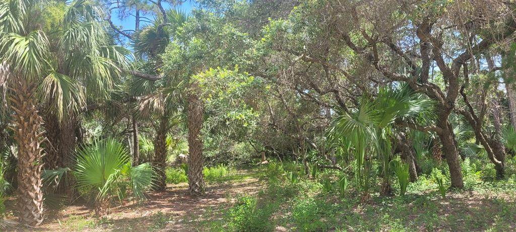 840 E Pine Ave - Photo 1