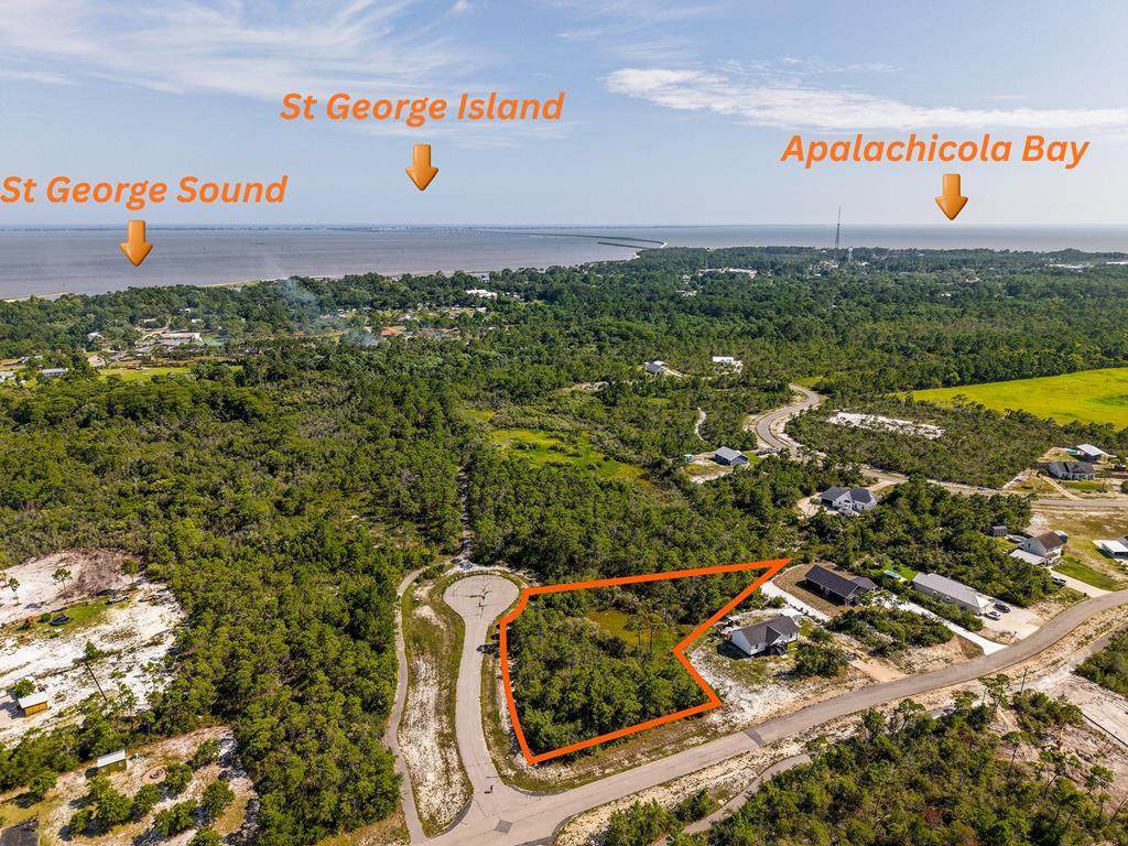 303 Hibiscus Ln - Photo 1