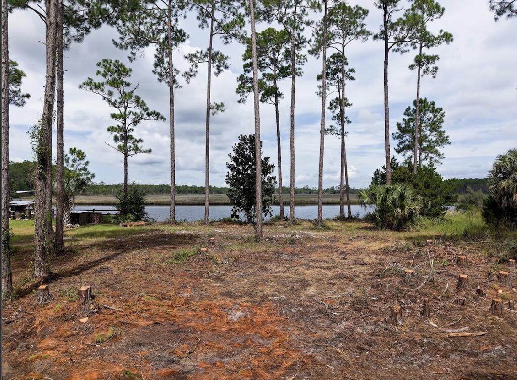 150 New River Ln - Photo 1