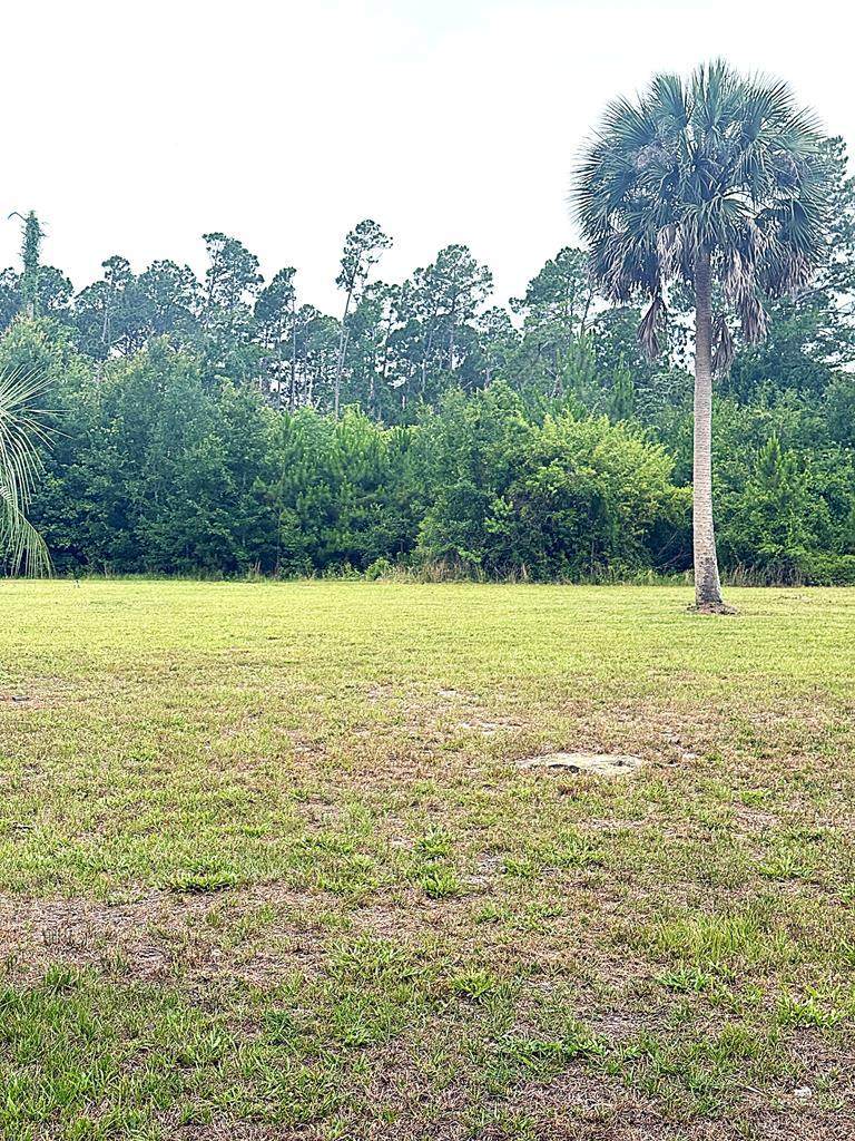Lot 4 Oak Grove Ave - Photo 1