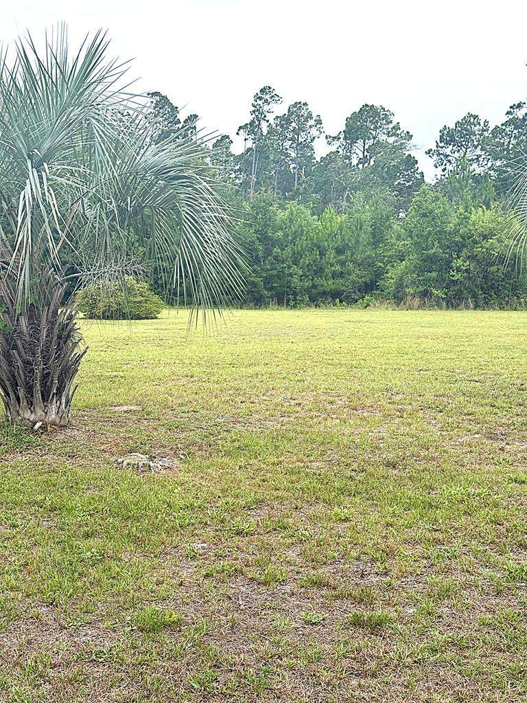Lot 3 Oak Grove Ave - Photo 1