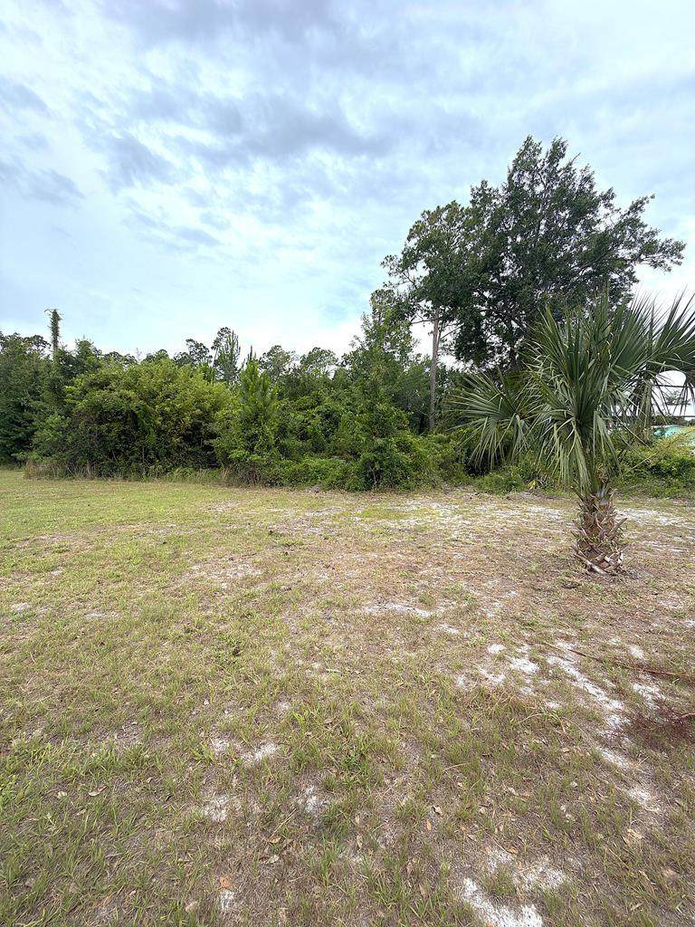 Lot 5 Oak Grove Ave - Photo 1