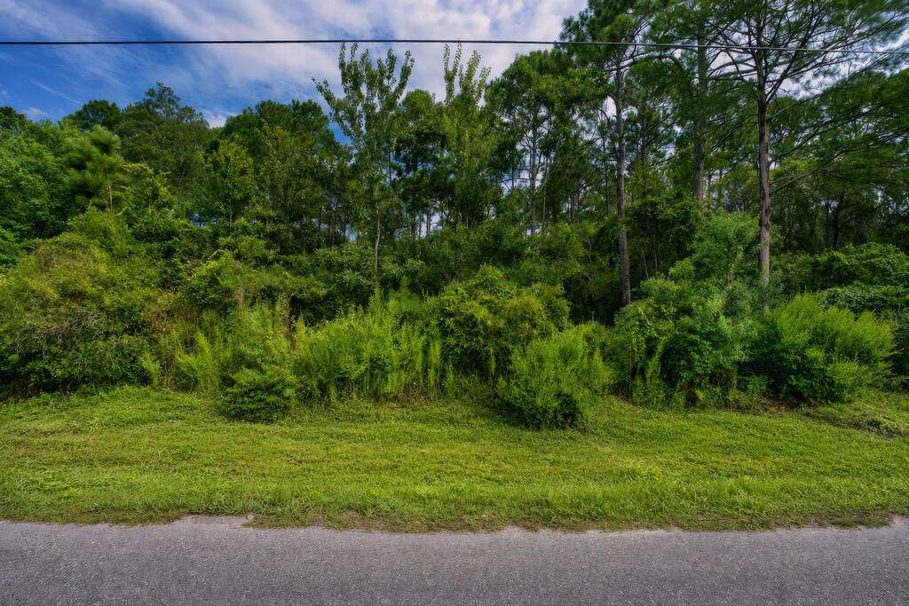 133 West Dr - Photo 1