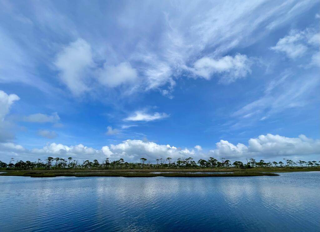 4746 Cape San Blas Rd - Photo 1