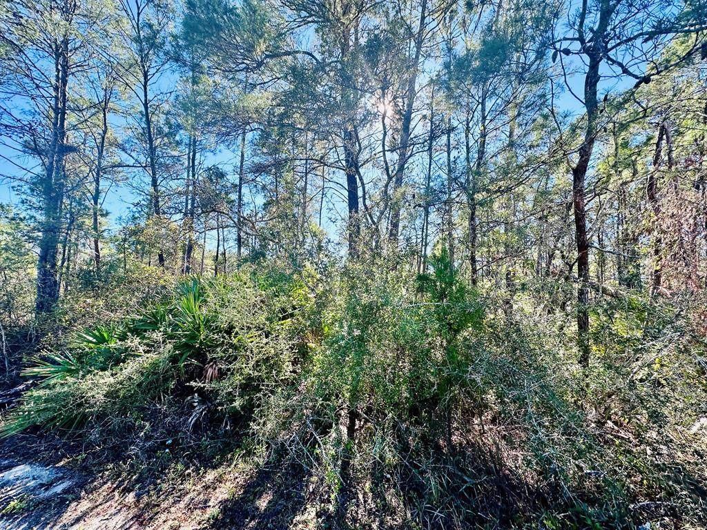 264 River Rd - Photo 1