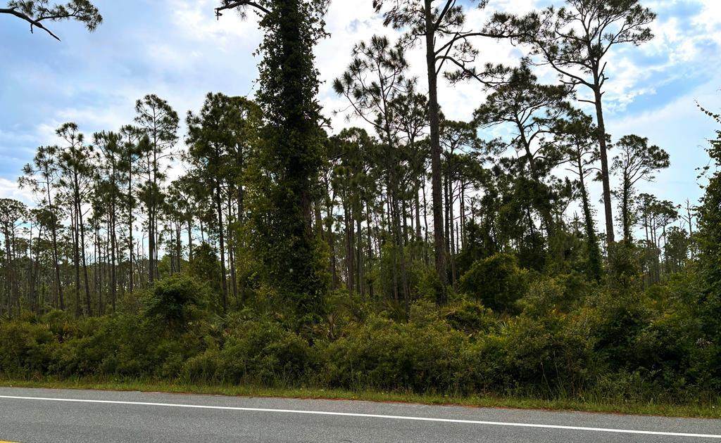 Lot 3 Sr 30-A - Photo 1