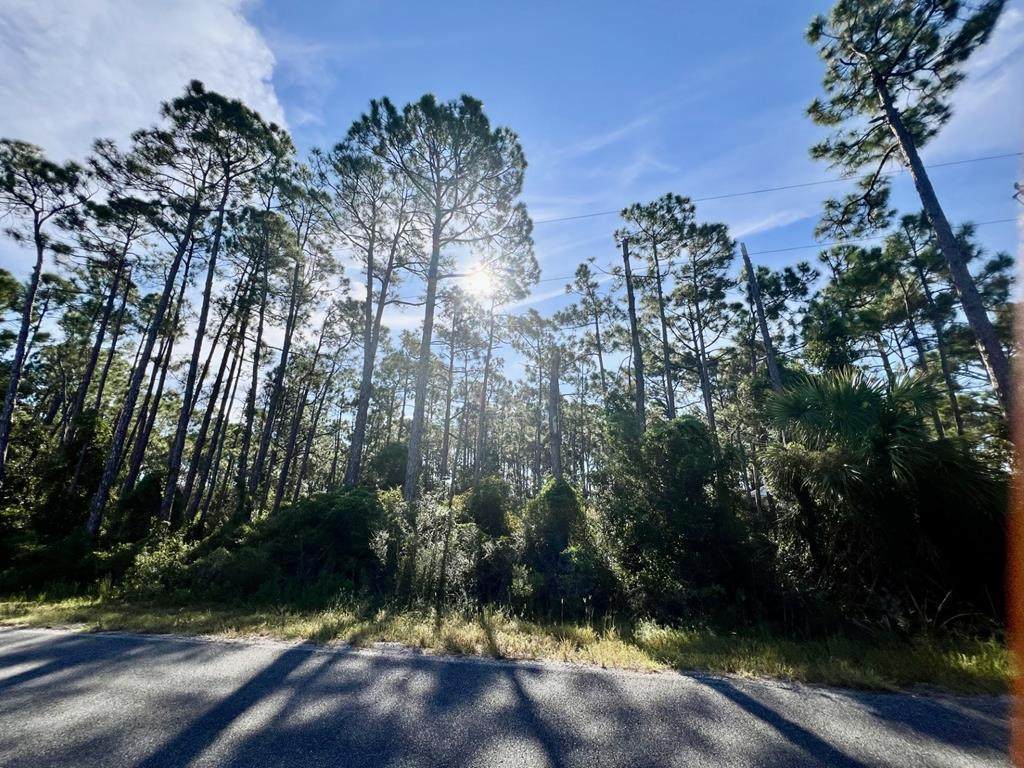 LOT 15 Country Club Rd - Photo 1