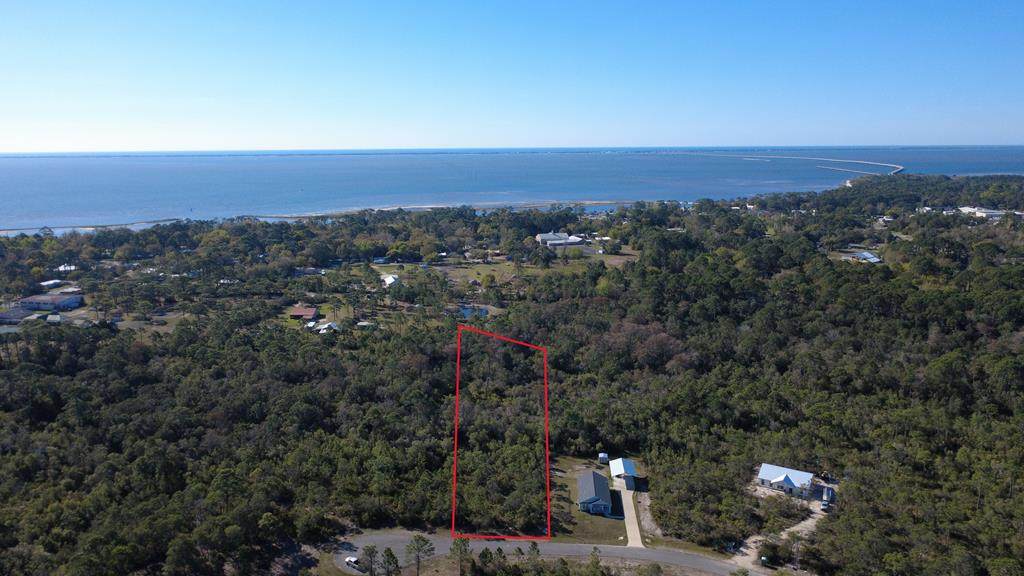 339 Blue Heron Dr - Photo 1