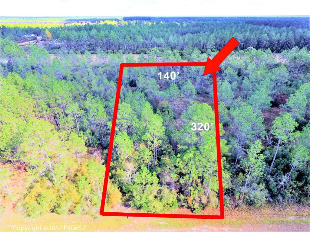 Lot 26 Jarrott Daniels Rd - Photo 1