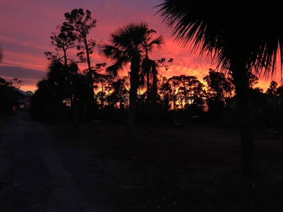 5504 Cape San Blas Rd - Photo 1