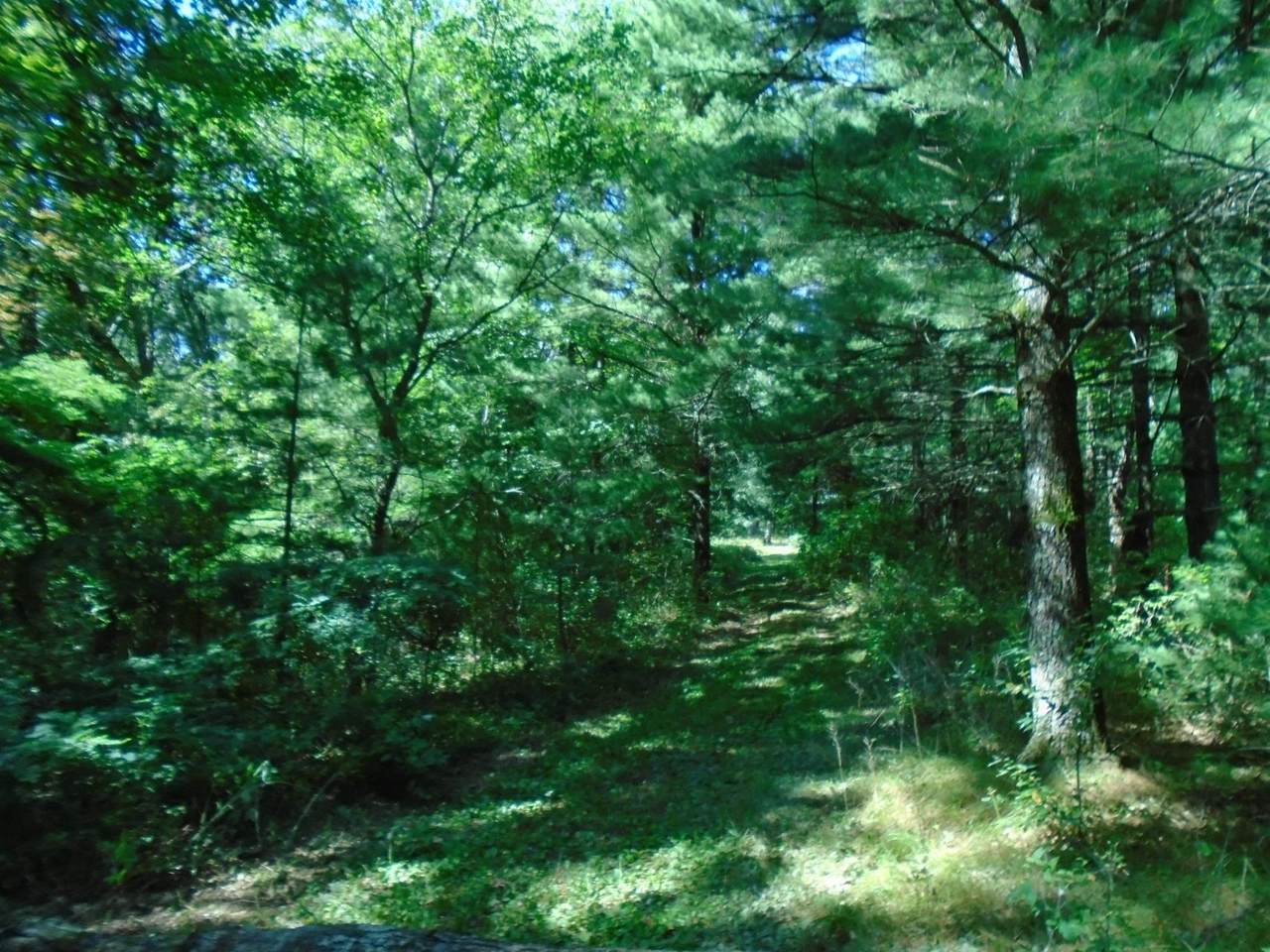 W13510 Hwy 21 - Photo 1