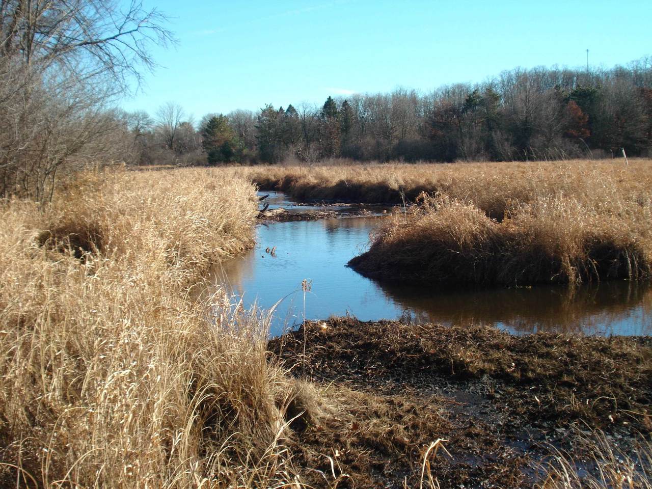 W195 Eagle Road - Photo 1