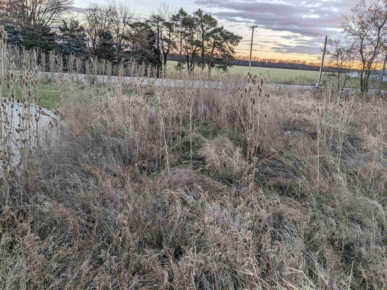 2575 Nature View Court - Photo 1