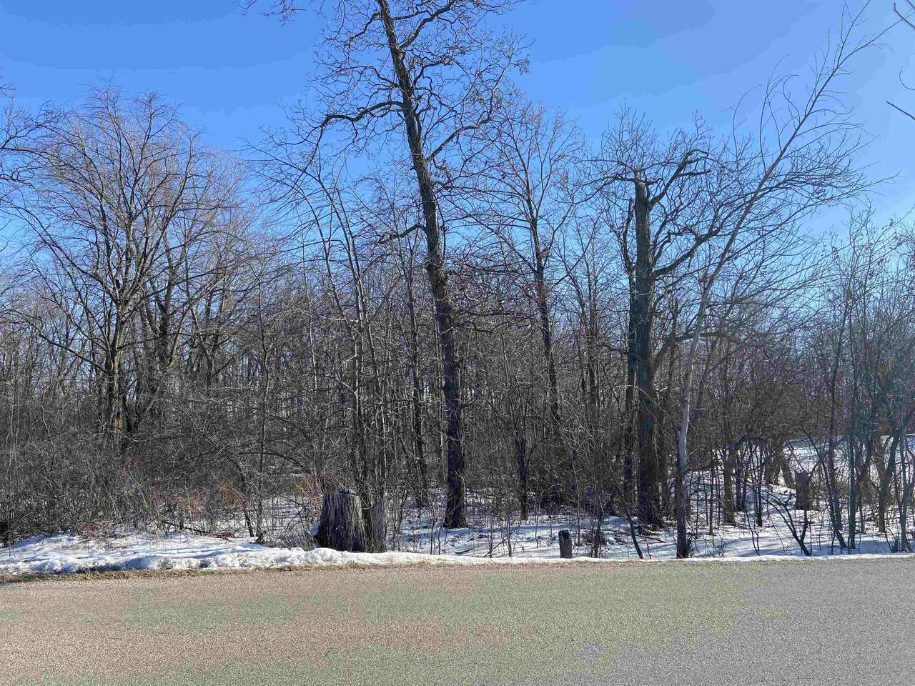 Townline Road - Photo 1