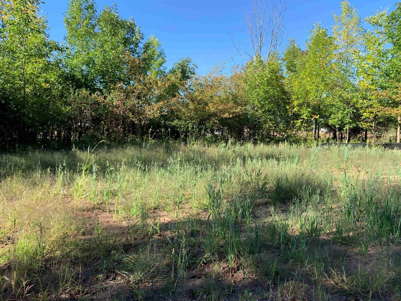 1621 Grace Garden Way - Photo 1