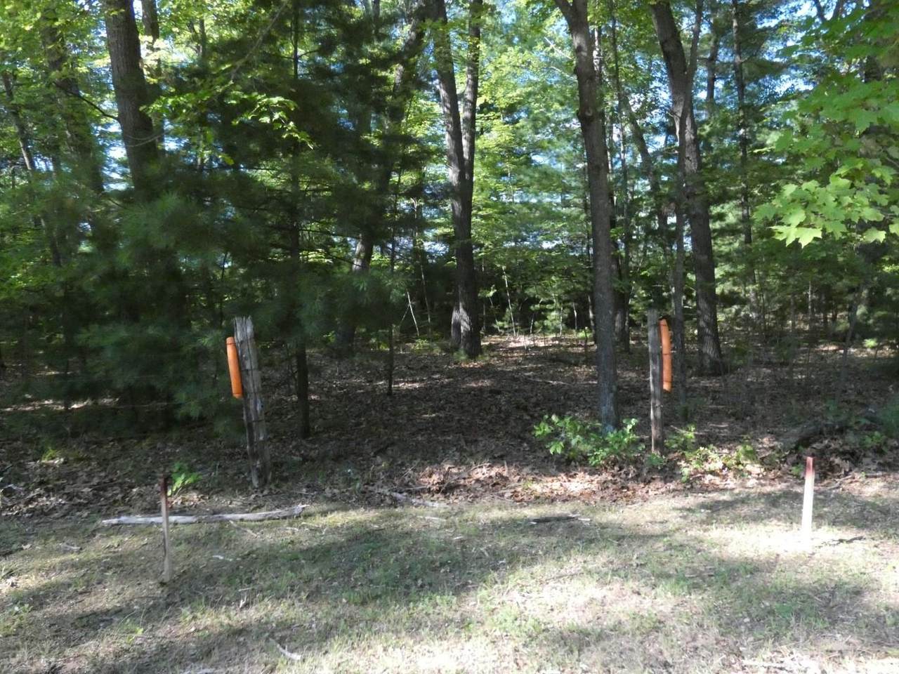 Loon Lake Circle - Photo 1