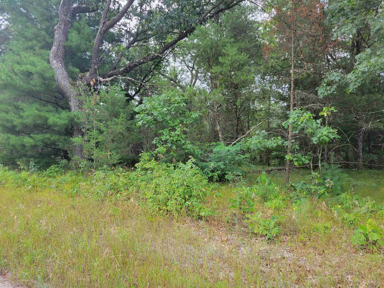Oakhaven Circle - Photo 1