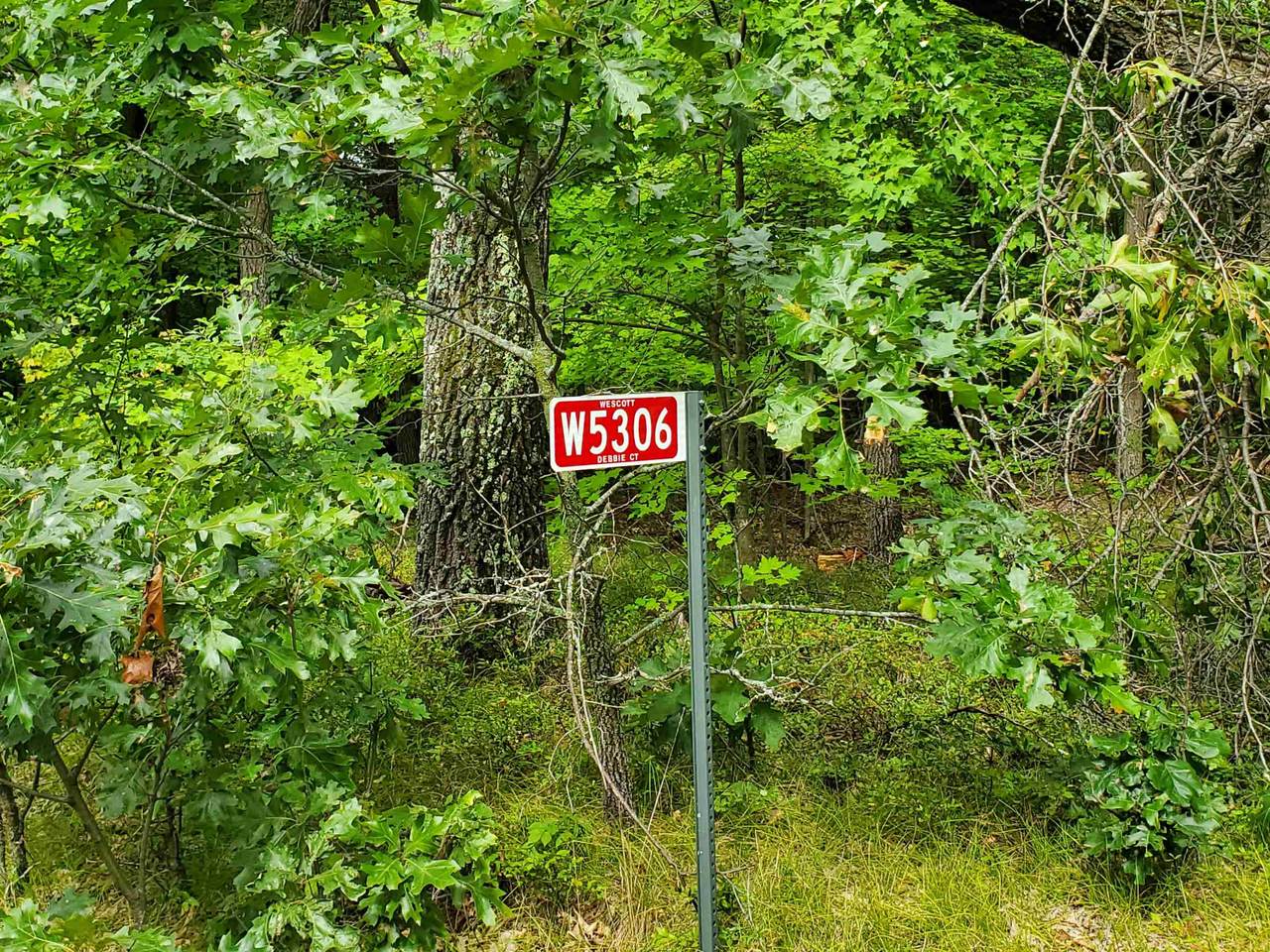 W5306 Debbie Court - Photo 1