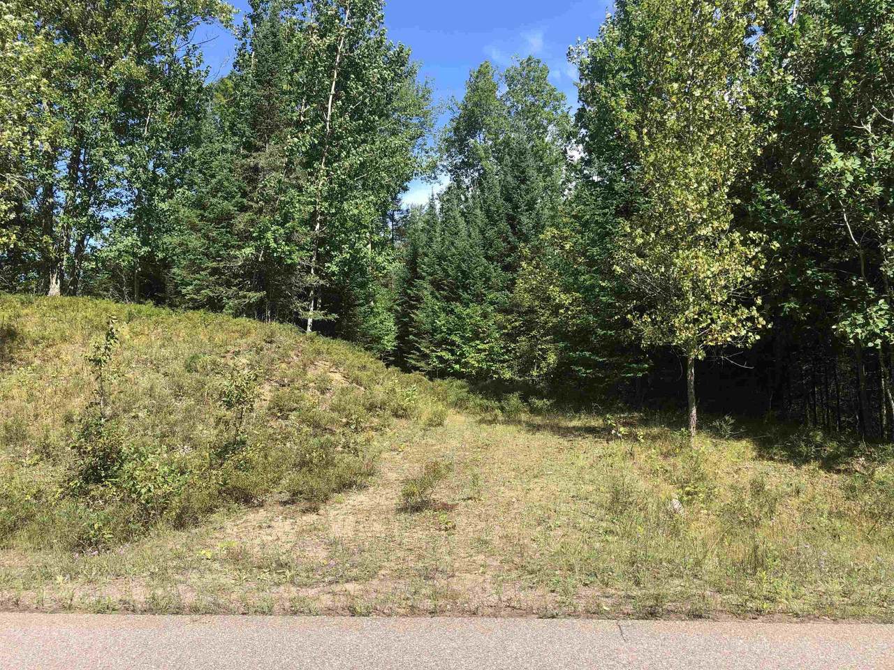 Angel Crest Lane - Photo 1