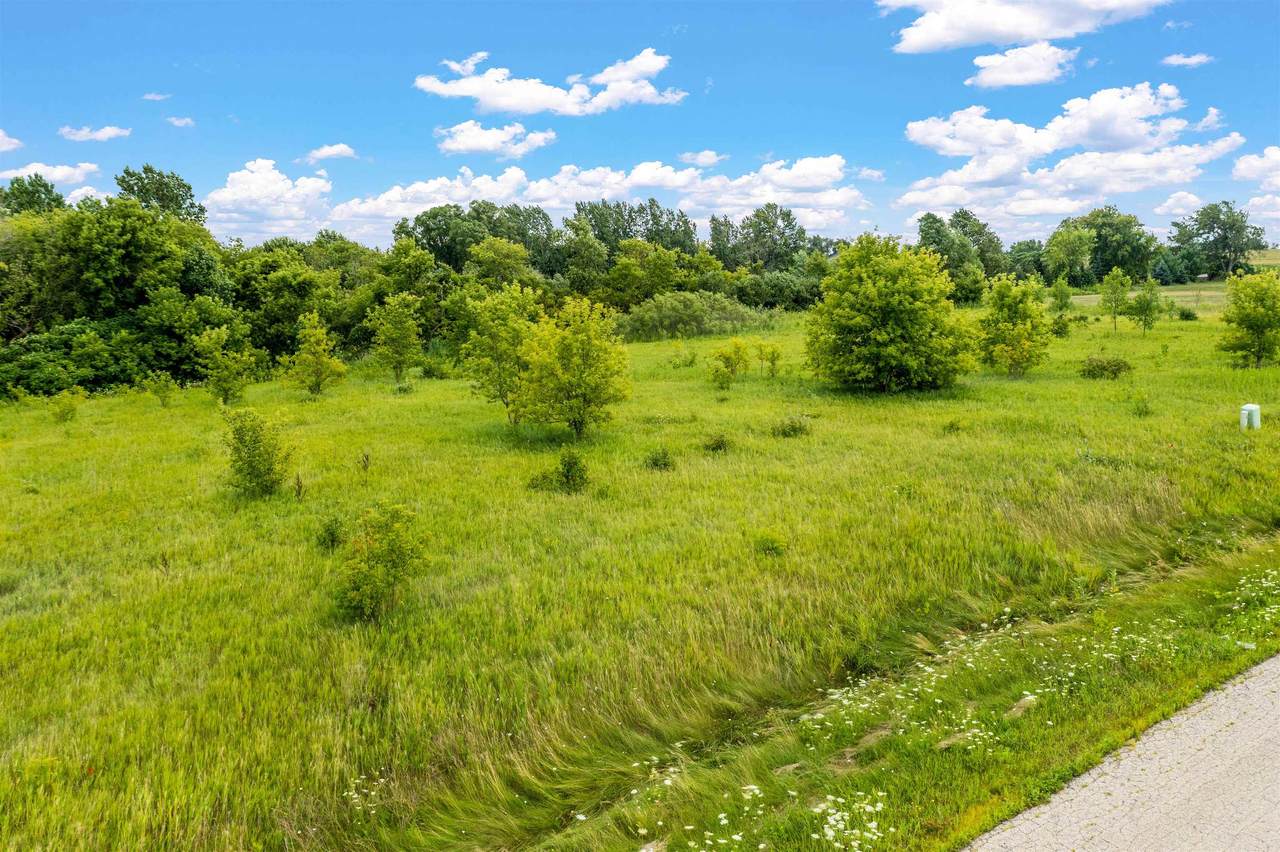 Wilderness Lane - Photo 1
