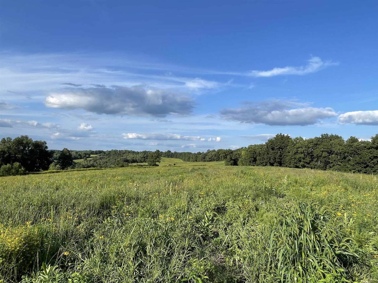 47100 Maple Ridge Road - Photo 1