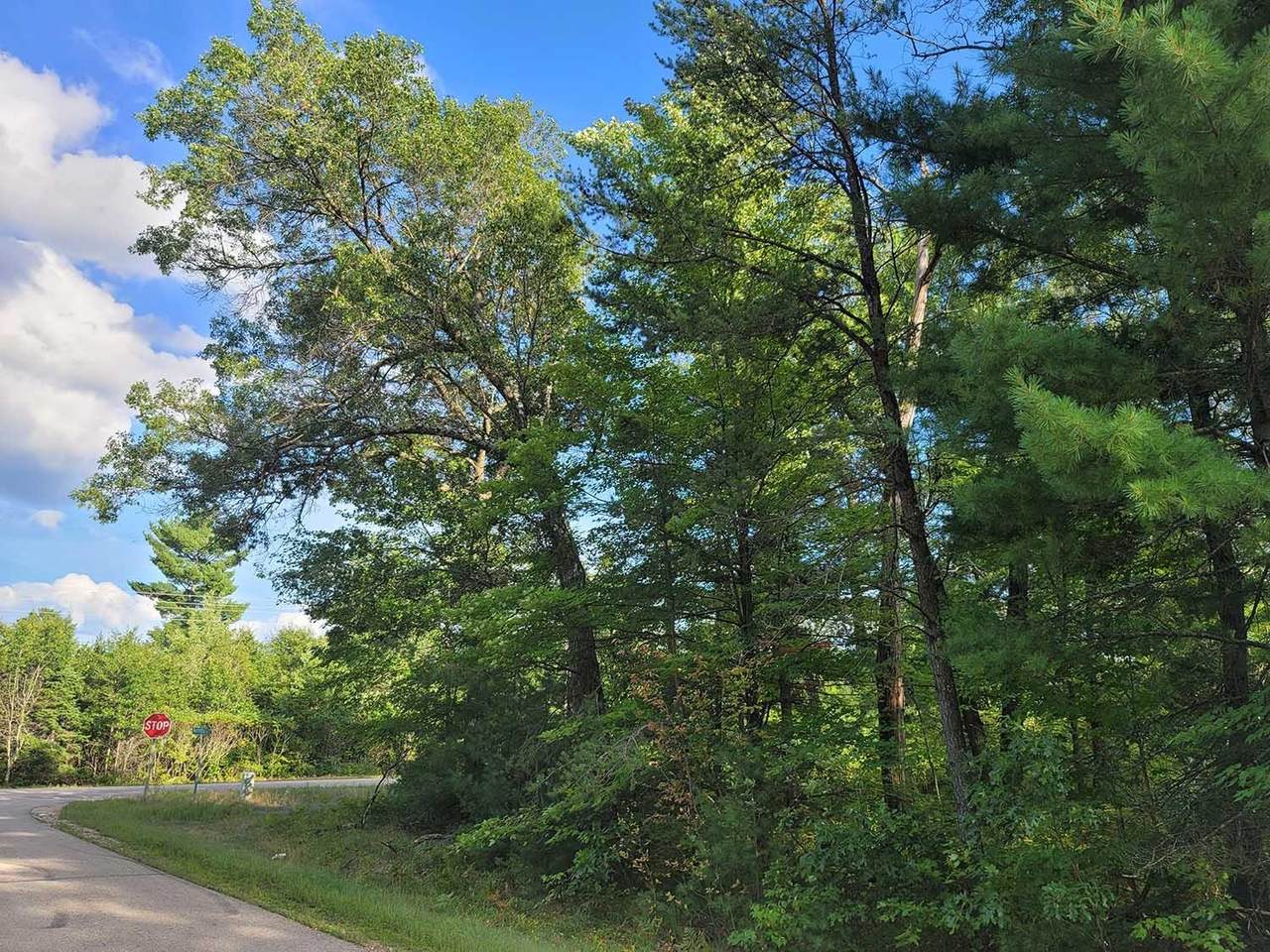 Warrington Lake Drive - Photo 1